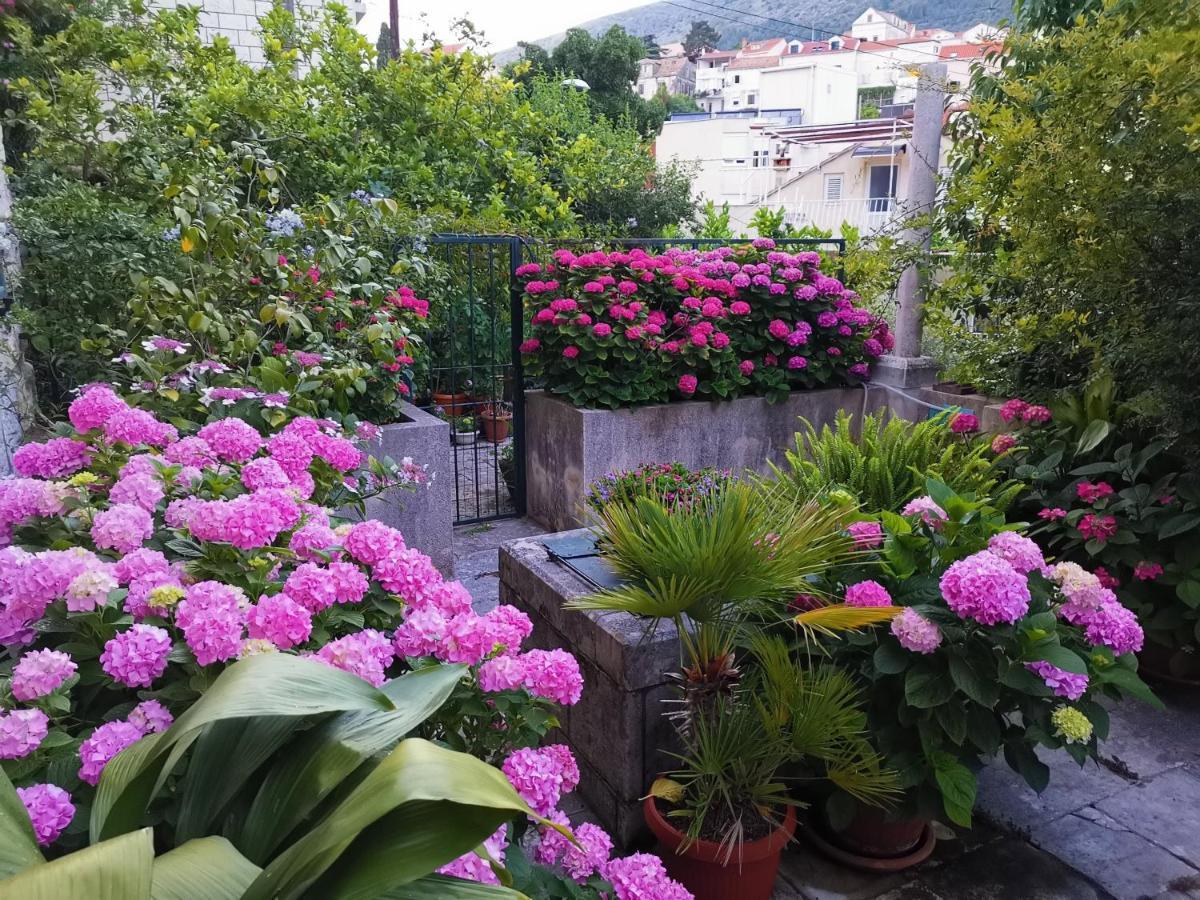 Apartments Sensa Dubrovnik Exterior photo